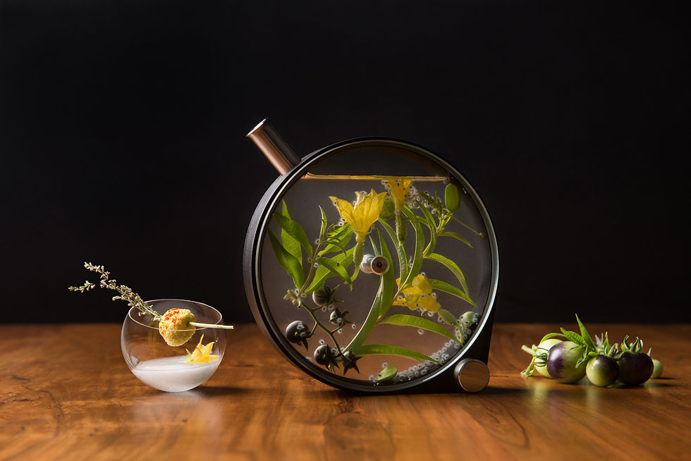 round cocktail infusion vessel with beautiful fruit display