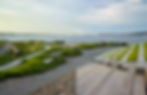 beach landscape with staircase flanked by stones and grass inlay