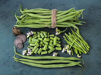 Green Bean.PNG