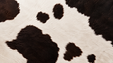 Cow Skin 1.png