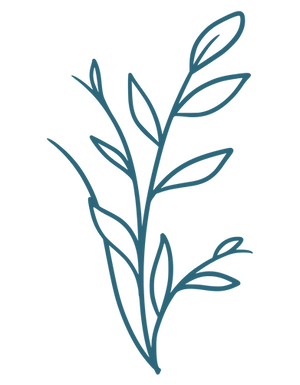 Outside Exploration (8).png