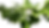 Untitled design.png