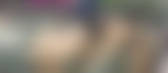 Haïti | Sécurité : la PNH renforce son arsenal avec des véhicules blindés offerts par la Corée du Sud