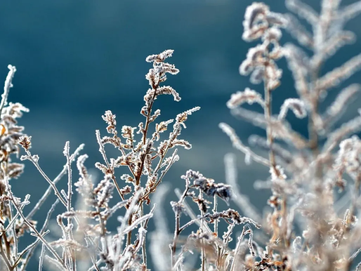 NOVA MASSA DE AR POLAR PROMETE QUEDA NAS TEMPERATURAS EM DIVERSAS REGIÕES DO BRASIL