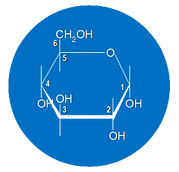 Koolhydraten trainingen ionchromatografie.png