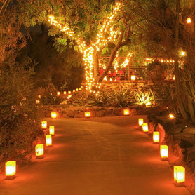 Luminary Bags Pathway Lighting