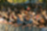 2N8A8276.jpg
