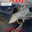 Miniatura: Asian Defence Journal (December 2010)
