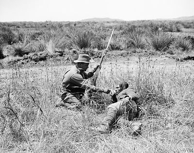 Tally Ho Chap Books On ANZAC Experienes In World War One