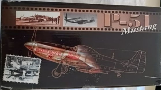 Thumbnail: Motor Max No. 76336 P-51 Mustang Model (1:48 Scale)