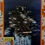 Miniatura: Topps Desert Storm Trading Card #56: USS Midway (1991)