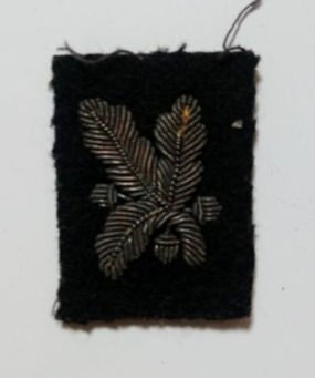 Military Insignia Patch (c.?)