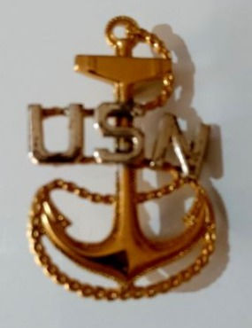 WWII US Navy Pin Badge (C. WWII)