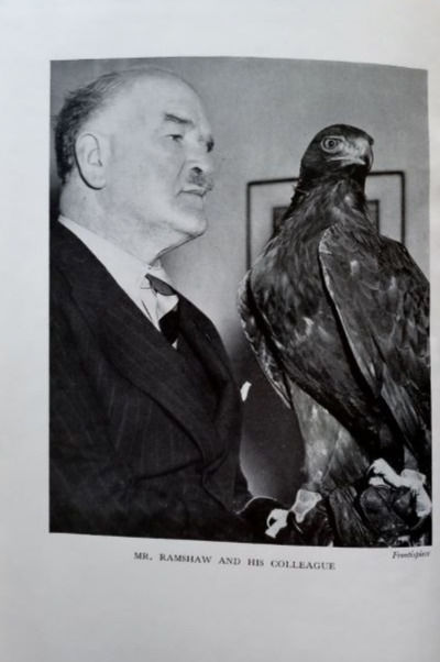 縮圖：All British Eagle (1943) By Captain C.W.R. Knight