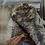 Thumbnail: Dragon Models: Fallschirmjager Equipment Set 2- No. 71138 (1/6 Scale)
