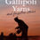 Miniaturbild: The Best Gallipoli Yarns and Forgotten Stories (2015) By Jim Haynes