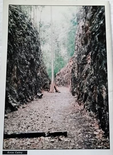 サムネイル： Hellfire Pass Memorial: Thailand-Burma Railway (2001) By Australia-Thai Chambers