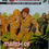 Miniatura: Commando Comic #3577: 'March Of Death' (2002)