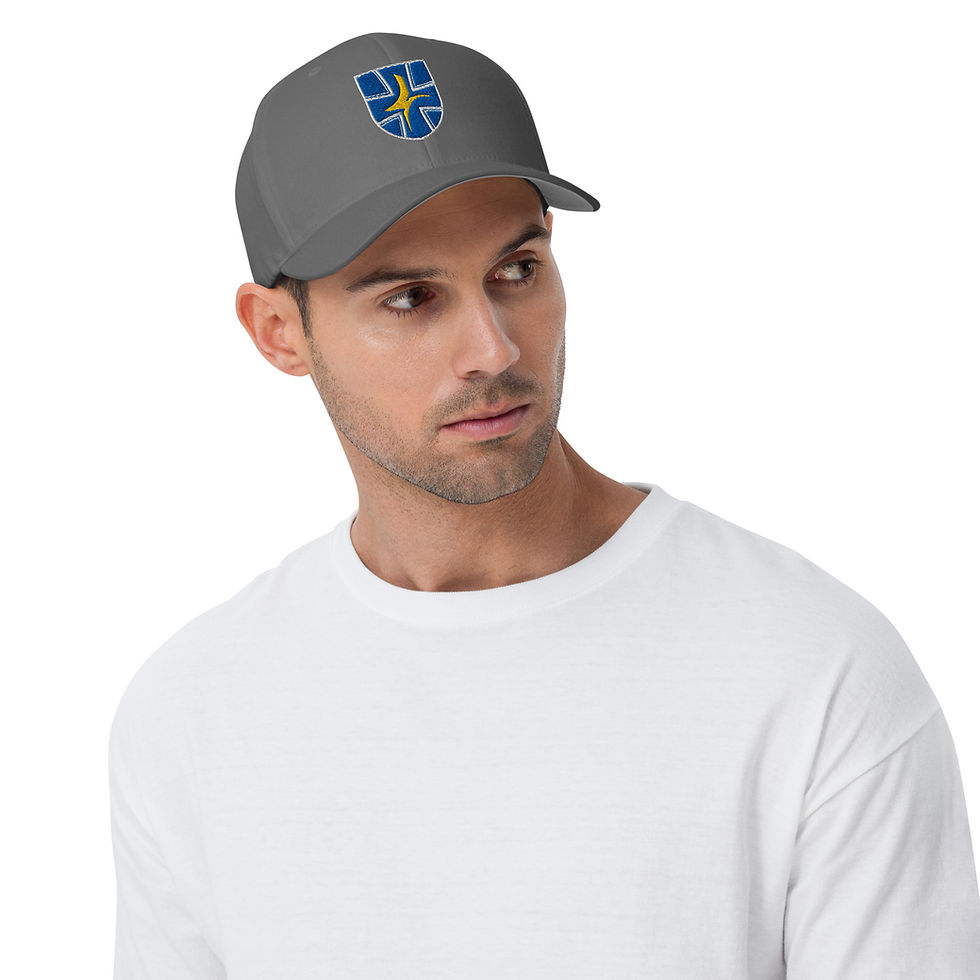 Miniatura: Luftwaffe Taktisches Luftwaffengeschwader 73 Structured Twill Cap