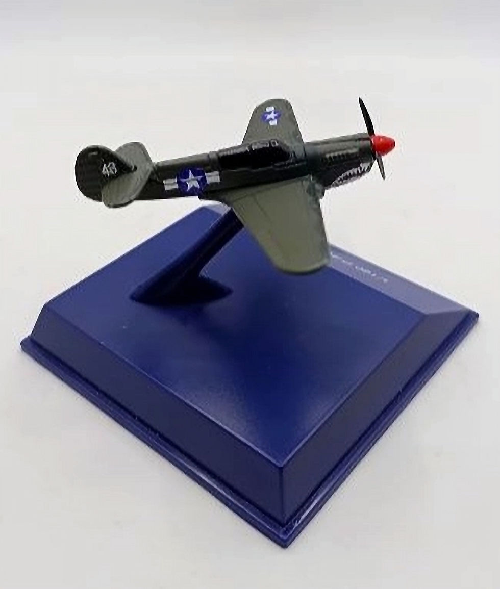 サムネイル： P-40N Warhawk (1:160 Scale)