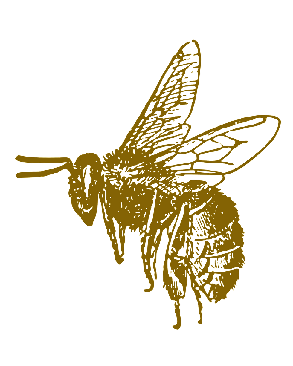 14_edited.png