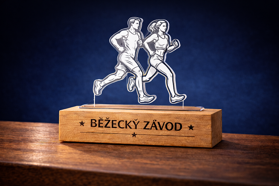 Miniatura: Sportovní ocenění BEH 