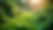 Eye-level view of a lush green garden with diverse plants