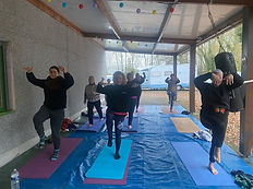 danse dragon hiver 1.jpg