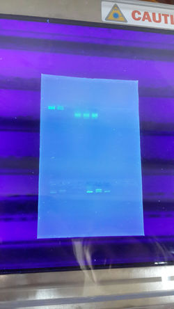 gel
