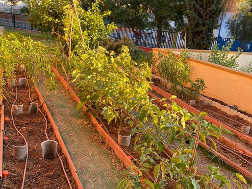 Llegó el otoño y comenzamos con la siembra.