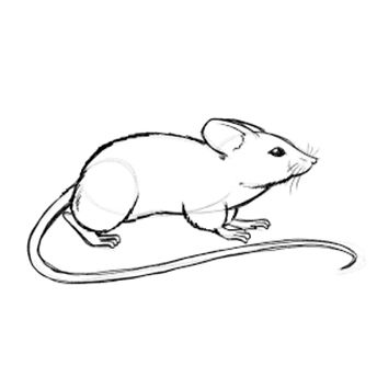 New Project (1)_edited.jpg