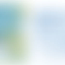 Asheville ZineFest!: Power to the Small Press