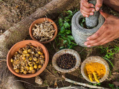 Ayurveda.jpeg