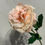 Thumbnail: Bundle of 10 Artificial Peonies