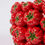 Thumbnail: Tomato Pot S