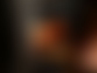 Logs in a Log Burner