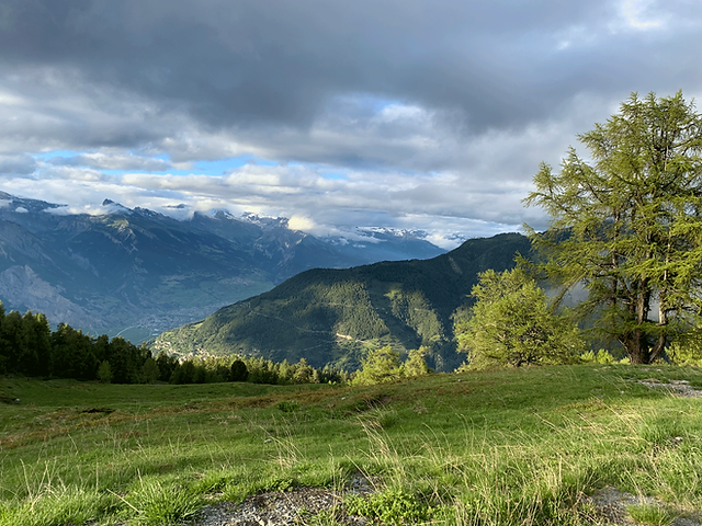 what a beautiful day to go outside in the amazing nature !