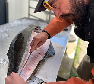 jakehalibut_edited.png