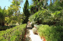 jardin