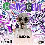 remixes cover copy.jpg