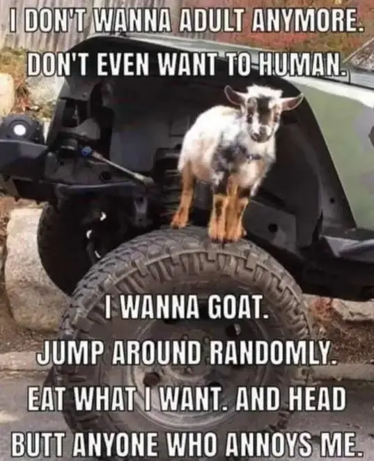 ree
