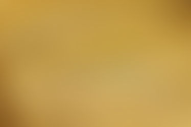 Minneapolis Police allowing Citizen checkpoints to be set up on city streets.