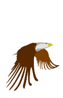 unnamed.gif