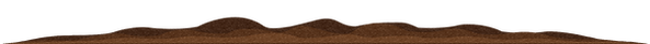 Sea Floor