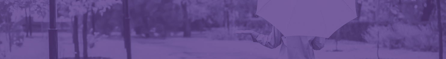Website Banner - Personal Umbrella.png