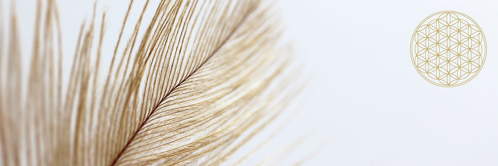 AdobeStock_featherfloweroflifejpeg.jpeg