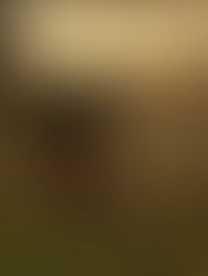 O Tempo que Não Para nem Volta