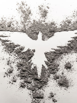 2023 - A Phoenix That No Cage Can Imprison