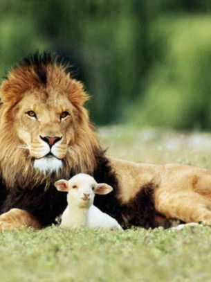 O Governo de Jesus Cristo e os governos da terra