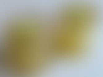 ספייסי מרגריטה